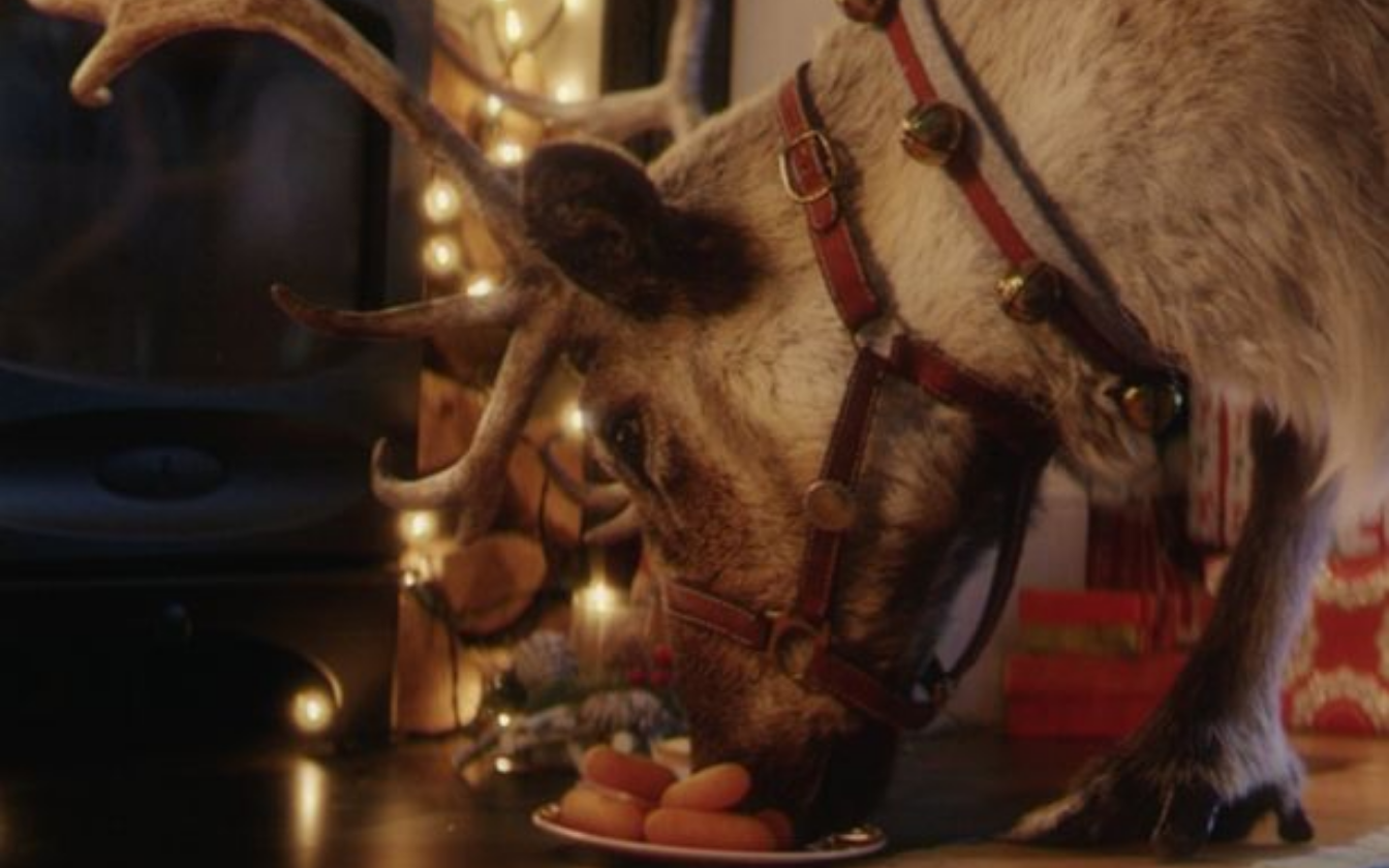 Here's How To Film Reindeer Eating Carrots In Your Home on Christmas Eve!