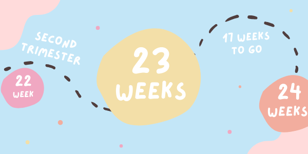 Your Pregnancy - Week 23