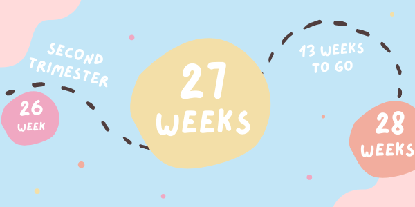 Your pregnancy - Week 27
