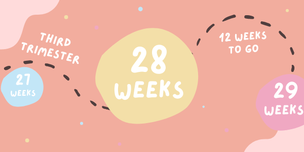 Your Pregnancy - Week 28