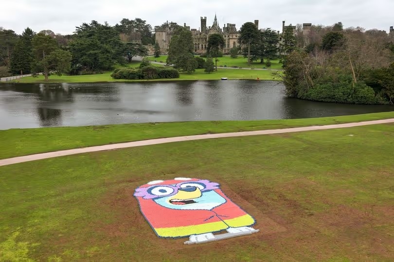 Bluey The Ride Bluey The Ride