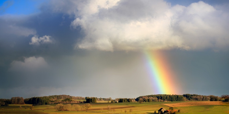 What is a Rainbow Baby?