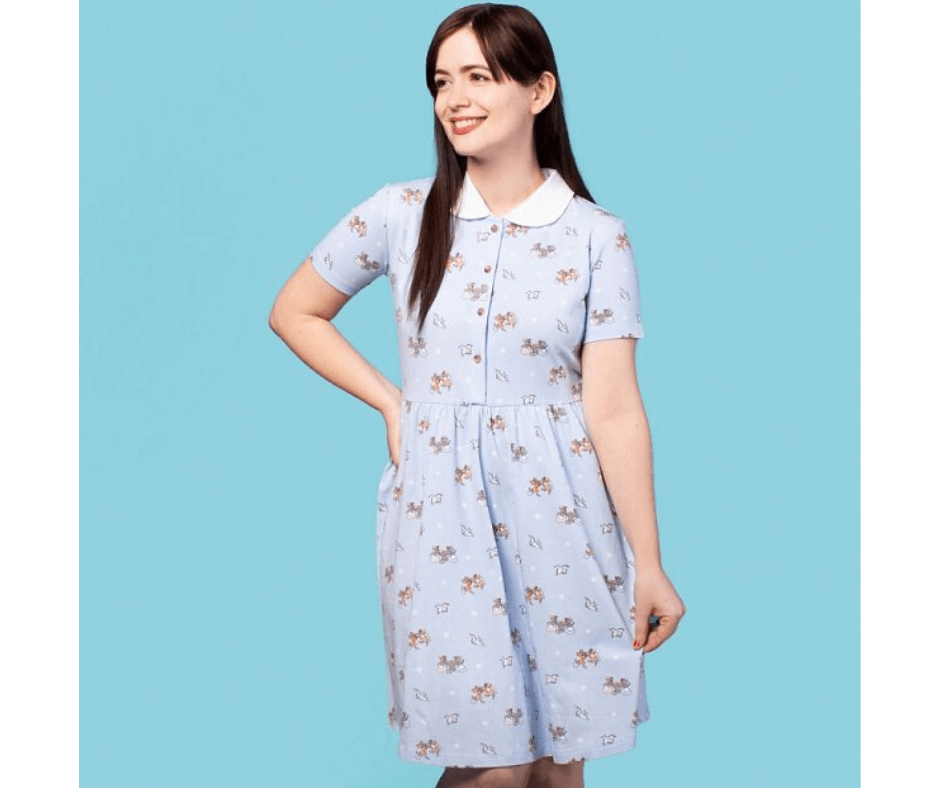 Cinderella Friends Button Up Dress