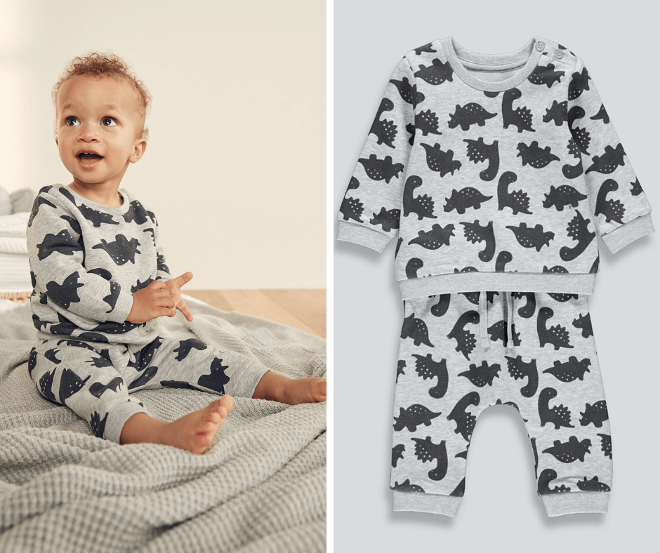 Dinosaur Print Sweat Set