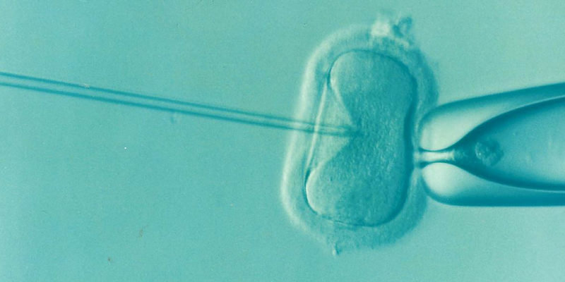 Five Things I Wish I Knew Before Having IVF