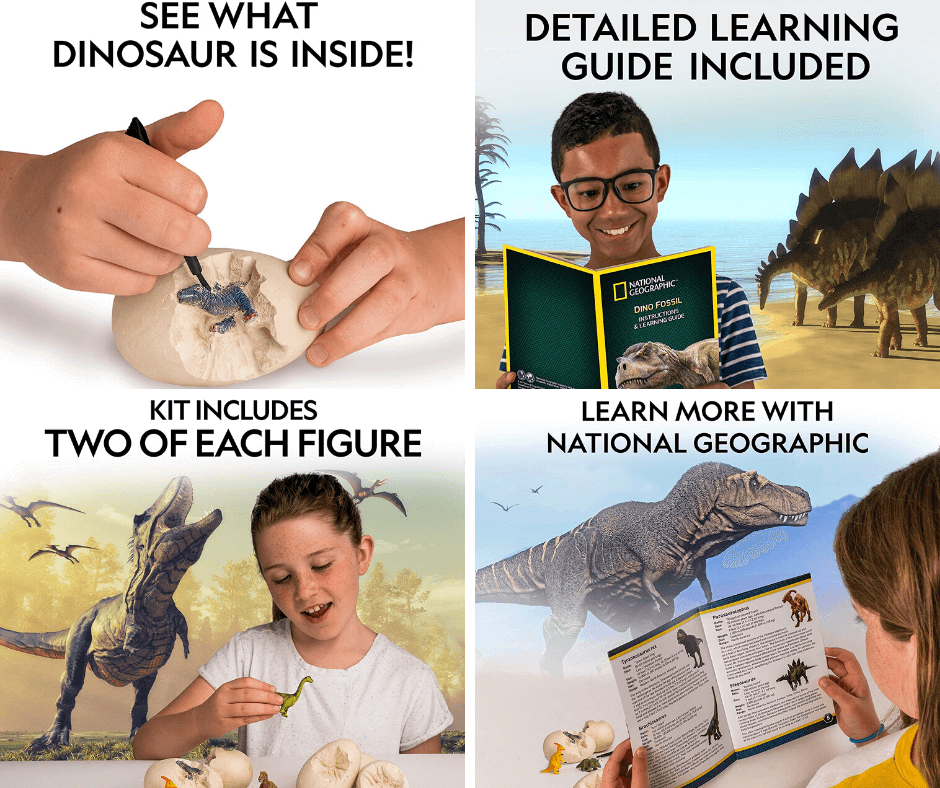 National-Geographic-Dinosaur-Kit.png