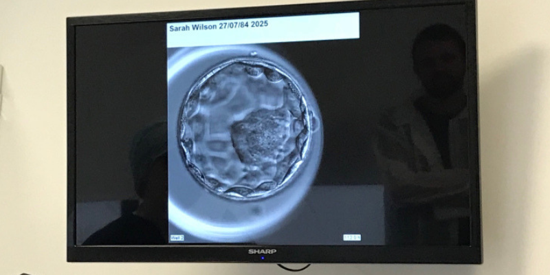 IVF Round 2 - Embryo Transfer!