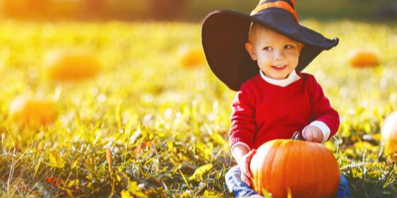 Top Picks: Toddler and Family Halloween Outfits
