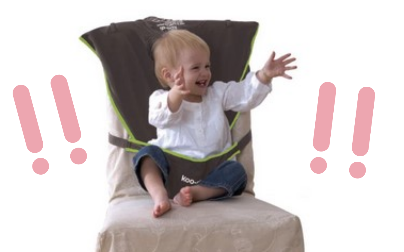 RECALL ALERT: Koo-di Travel Seat