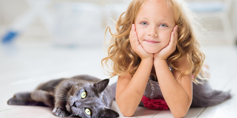 Feline Friends - Weighing Up The Risks of Cats around Babies