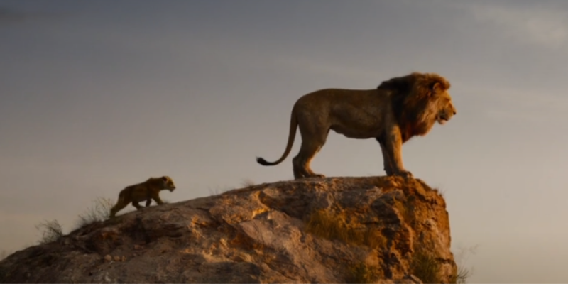 Have You Seen The Lion King Live Action Trailer?!