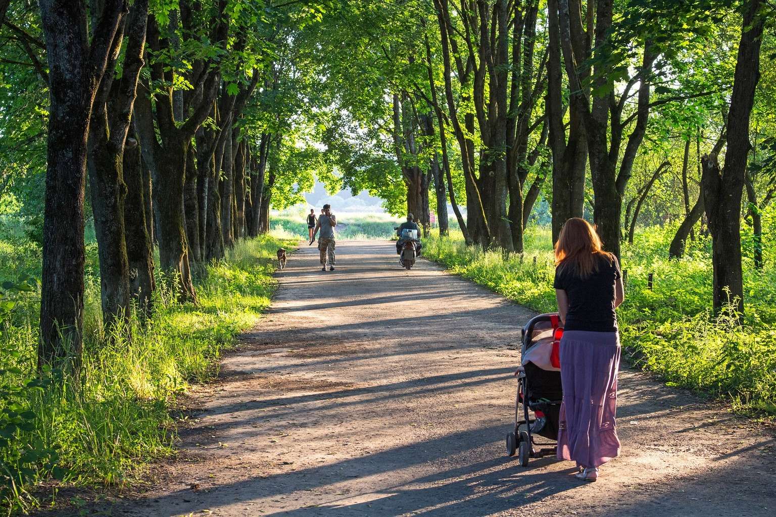 Walking with baby - Dream vs Reality