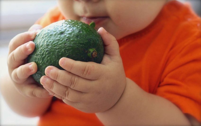 Those First Weaning Steps