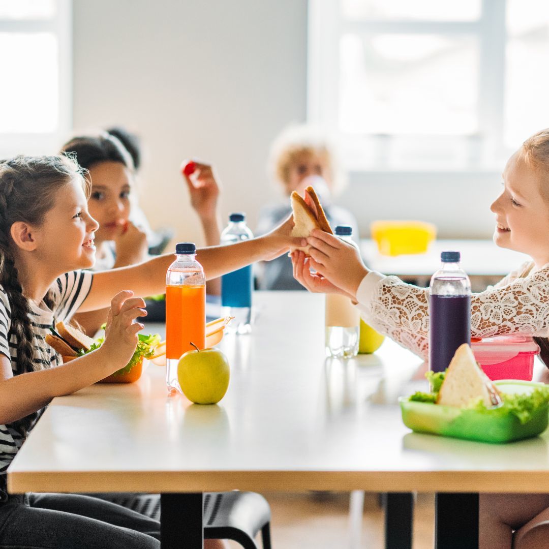 child-lunch-stock-image