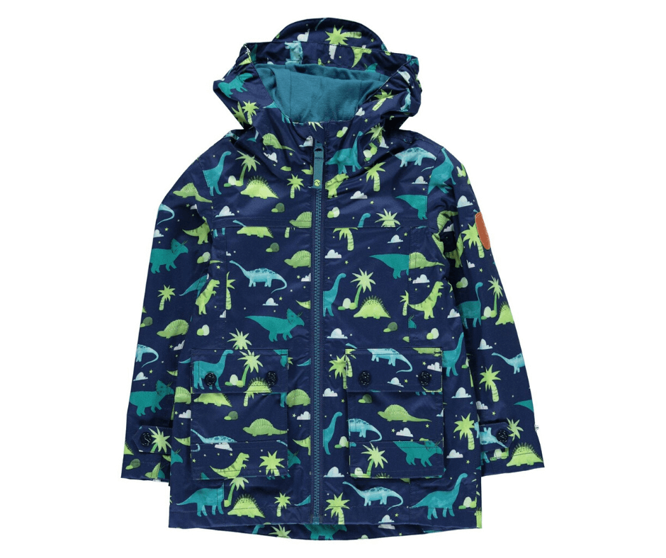 dino raincoat