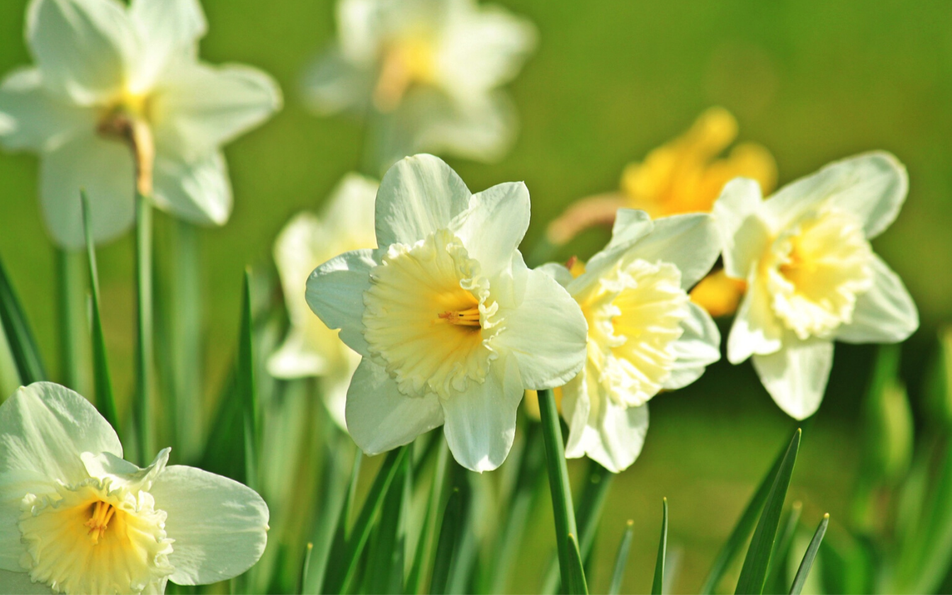 Early Springtime Garden Activities for Little Ones