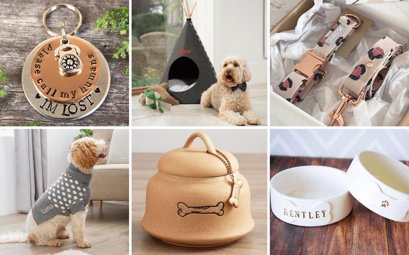 Check Out these Furtastic Finds for Your Four-Legged Friend!