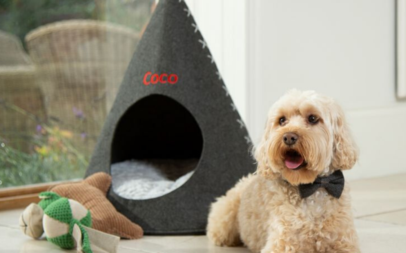 You Can Get a Teepee for Your Pet and it's AMAZING!