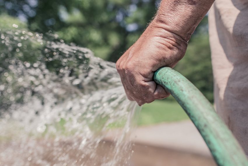 The Garden Hazard You Need To Watch Out For This Summer