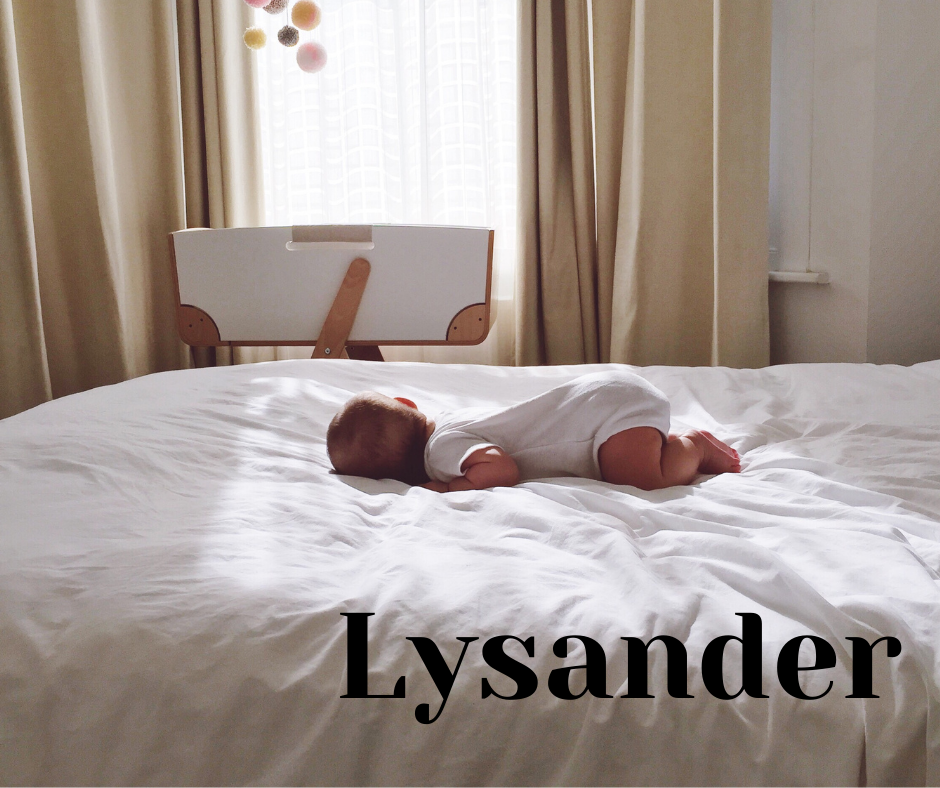 lysander