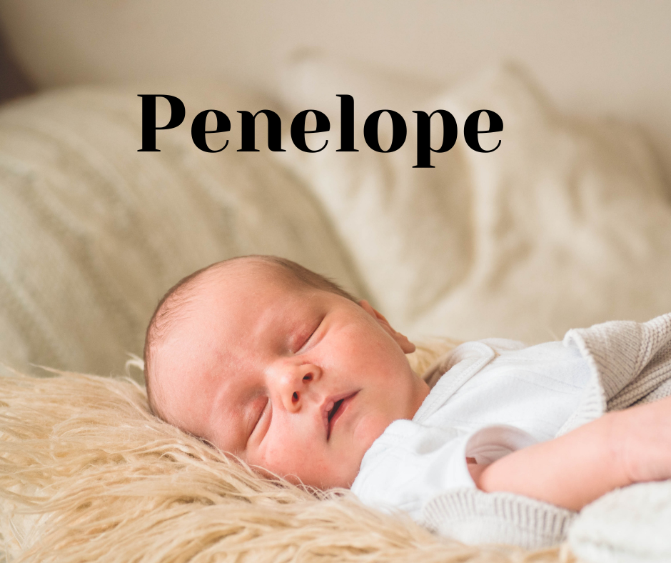 penelope