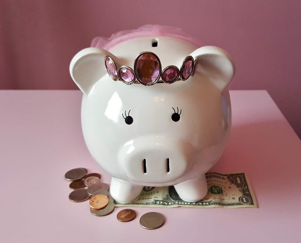 piggy-bank-1446874_1920.jpg