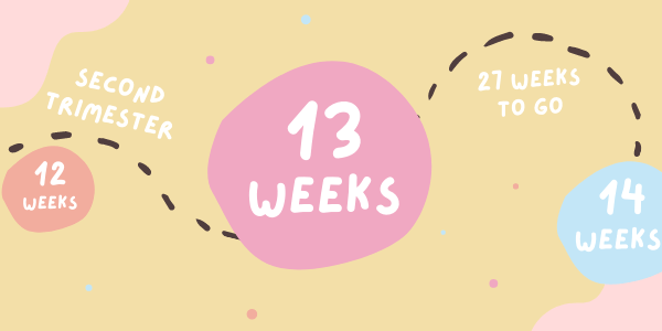 pregnancy-13-weeks