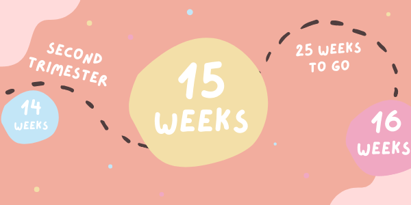 pregnancy-15-weeks