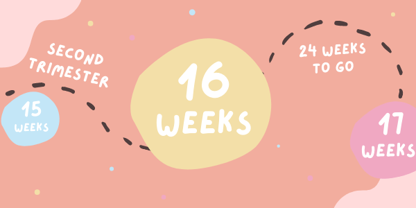 pregnancy-16-weeks
