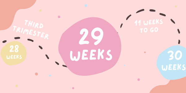 Your Pregnancy - Week 29