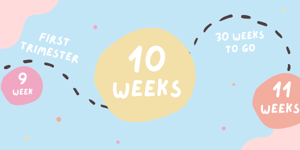 Your Pregnancy - Week 10