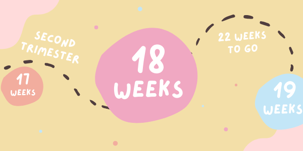 Your Pregnancy - Week 18