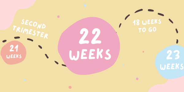 pregnancy-week-22
