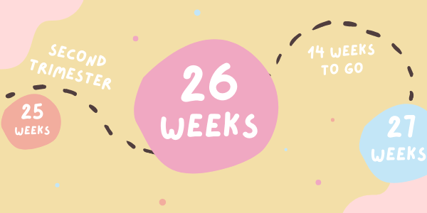 Your Pregnancy - Week 26