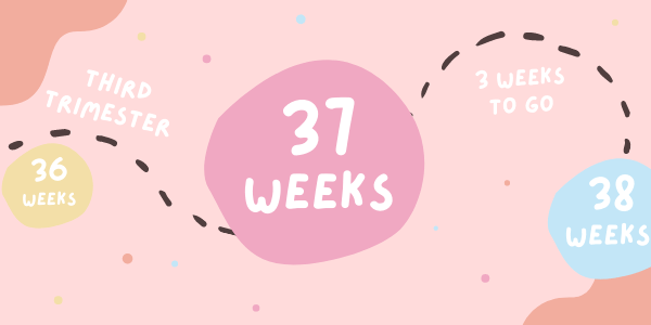 Your Pregnancy - Week 37