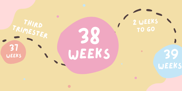 Your Pregnancy - Week 38