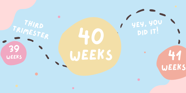 Your Pregnancy - Week 40