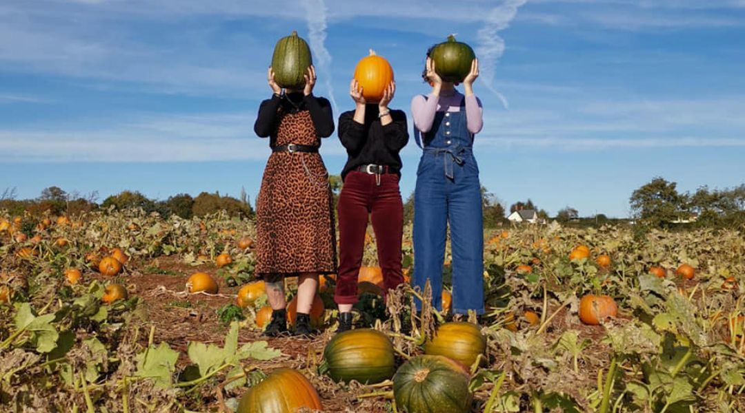 pumpkin-picking-near-you-5