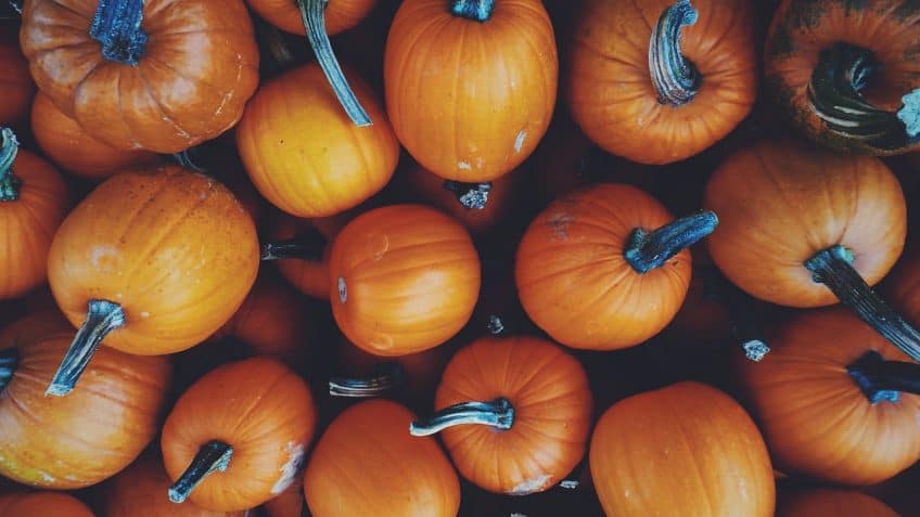 Pumpkin Butt Is The New Instagram Trend