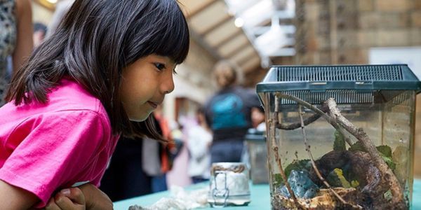 Jurassic Encounters: Animal Show at the Natural History Museum