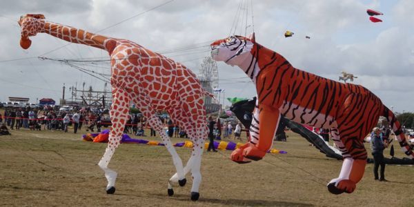 Portsmouth International Kite Festival