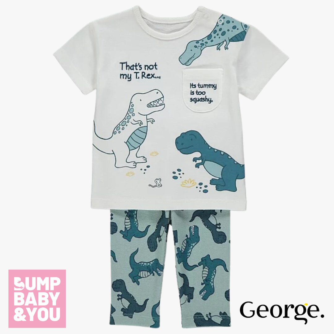 https://www.bumpbabyandyou.co.uk/images/product/asda-george-thats-not-my-t-rex.png