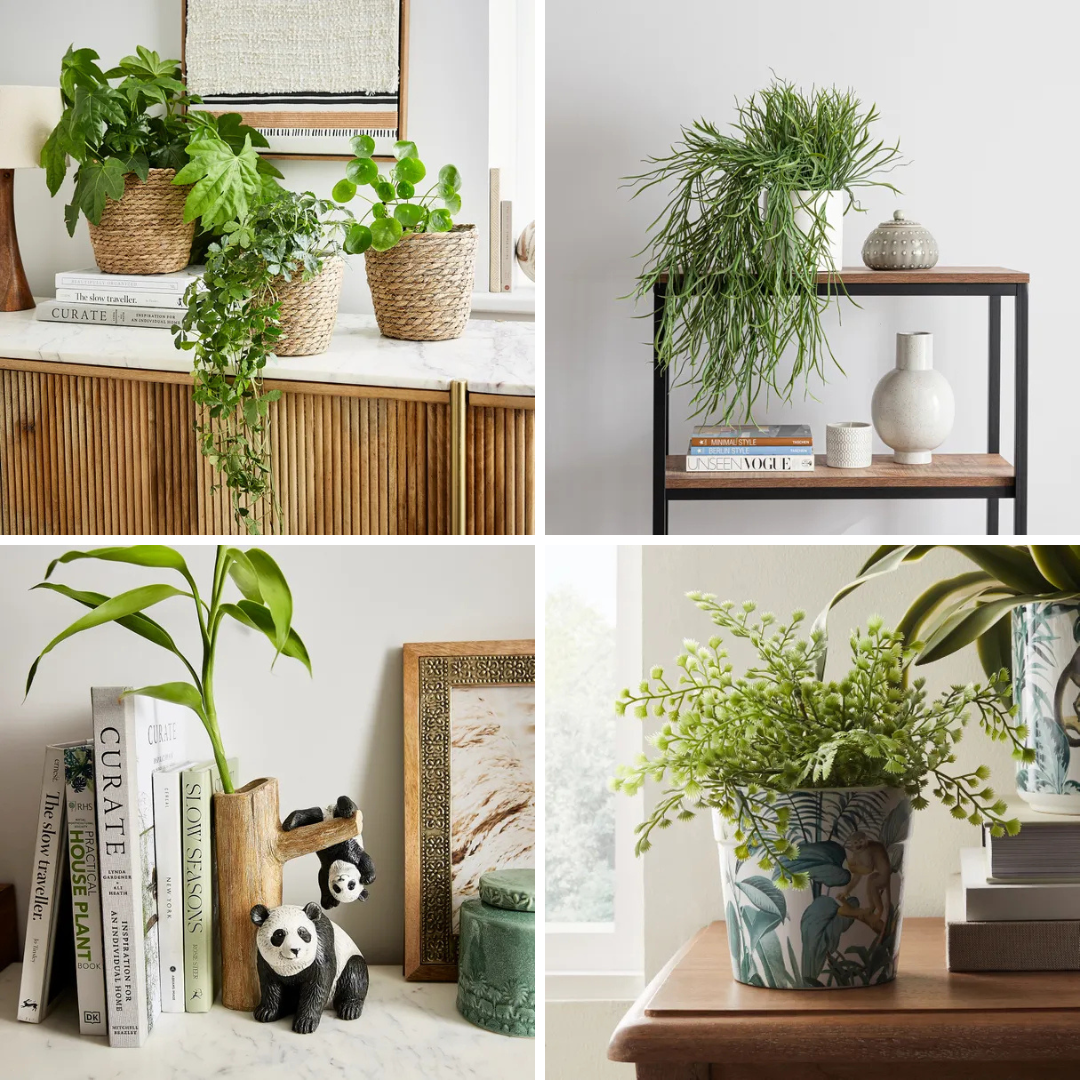dunelm-plants-and-pots