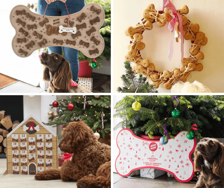 pet-advent pet-advent